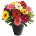 /album/gerberas/ensueno-floral-1-200-jpg/